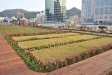 부산시청 4층 옥상 하늘마당 구경오세요