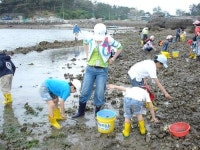 남해군 창선면 해바리마을 우수 농촌체험 선정
