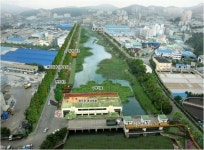 장림천이 생명의 숲으로 탈바꿈 한다