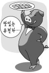 [맛있는 경제] 제주흑돼지 맛의 비밀은 유전자