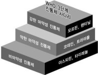 [말기암 환자 이렇게 돌보자] <하> 통증관리