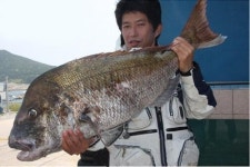 [박갑출의 낚시천국] 2009 바다낚시 결산