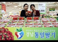 [포토뉴스] 통일딸기 맛 보세요