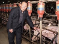 황혼나이도 무릎 꿇은 70대의 학구열