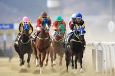 노인정에서 고스톱 치느니 천원짜리 경마가 낫지