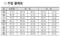 [낚시 주황] 거제 국도 95㎝ 참돔