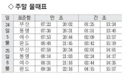 [낚시 주황] 거제 국도 62㎝ 돌돔