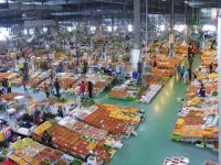 개장 10주년 맞는 반여농산물도매시장