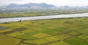 부산 첫 통합 이주단지 강서구에 조성