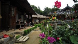 굽이굽이 강 길, 외나무 길 따라 옛 고향에 드네