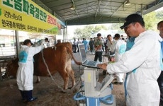 한우 육질 경진대회 심사위원은 초음파