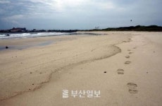 [정종회] 올레를 걷다 (6)
