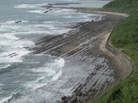 손바닥만 한 새우초밥… 볼거리 많고 먹을거리는 더 많고