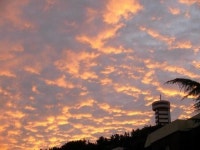 [부산을 달리는 자전거] 20 백양산 임도