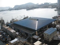 수협 다대포 어항축제, 화합의 장으로