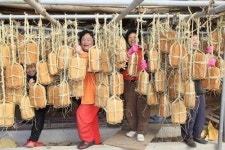 [포토뉴스] 메주 말리는 아낙네