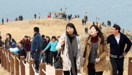 거제·통영, 거가대로 개통 특수 콧노래