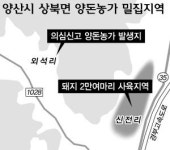 양산 최대 양돈농가 식은땀