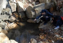 [길을 걷다 - 금정산 둘레길] <5> 화명정수장~ 만덕종합사회복지관 11㎞