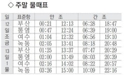 [낚시 주황] 남해 가천·미조 감성돔 빈작