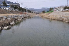 양산 유산천 광물질 유입, 백·적화 현상