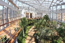 [정달식 기자의 열린 건축 이야기] <20 > 부산 화명 수목원 전시온실