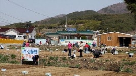 [포토뉴스] 부산농협 주말농장 개장