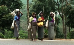 [방송가] 때 묻지 않은 2천500년 역사 스리랑카