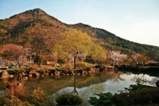 [짱아의 유쾌한 여행] 거제의 시크릿 가든, 산방산 비원을 아시나요?