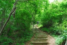 [산&산] <305> 남해 대방산