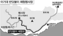 이기대 반딧불이 보러 오세요