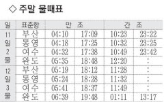 [낚시 주황] 남해안 전역 벵에돔 입질 많아