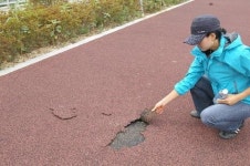 양산 자전거·산책로 찢어지고 갈라지고…