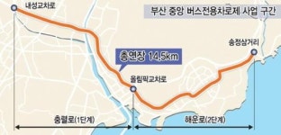 버스 중앙차로제 부산시, 내년 본격 추진