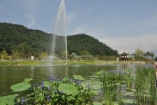 악취·날파리떼 다 어디갔나요?