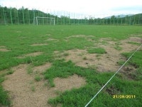 선동 잔디구장, 5년도 못가고 흉물 신세