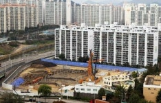 마트 부지서 맹독성 제초제(소량 흡입해도 사망 이르는 그라목손 인티온) 사용 물의