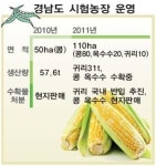 러시아 연해주 경남 농장 르포