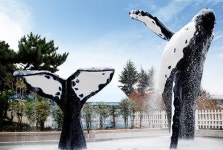 [SEA&뉴스] MT취재 / 부산해양자연사박물관
