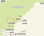 [일상탈출] 경북 영주 소백산 자락길