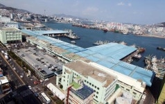 어시장(부산공동어시장) - 도매시장(부산국제수산물도매시장) 통합 어떻게 되어가나