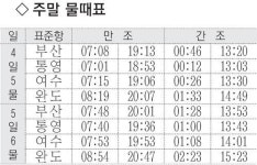 [낚시 주황] 삼천포 배낚시 새 바람 인조 미끼 루어 열풍