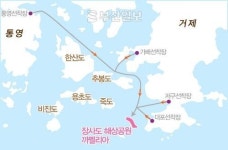 [일상탈출] 장사도해상공원 까멜리아