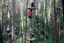 [포토뉴스] 모험의 숲에서 즐겨요