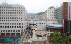 비리 의혹 현 병원장 연임 불가 부산대병원 의사들 반대 서명