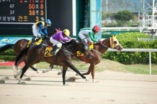 부경경마공원, “경마-기업 간 상생시대 열었다”