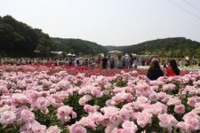 [토막소식] 그루와 송이, 충북 괴산·연풍 지방 답사 外