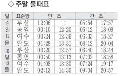 [낚시 주황] 남해안 전역 벵에돔 등 풍성 낙동수로 굵은 붕어 두세 마리