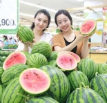 [포토뉴스] 福 들어오는 '복수박'