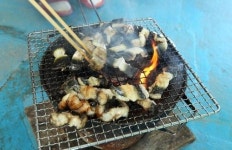 낙동강 민물장어, 느끼하지 않고 구수 이런 맛 처음이야